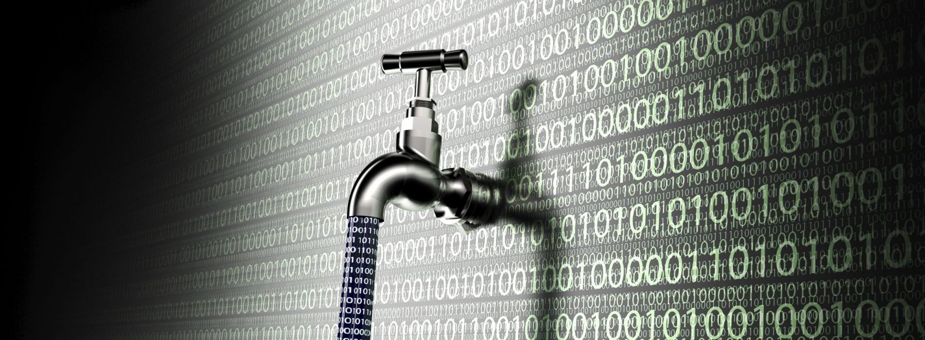 PrivacyTeam