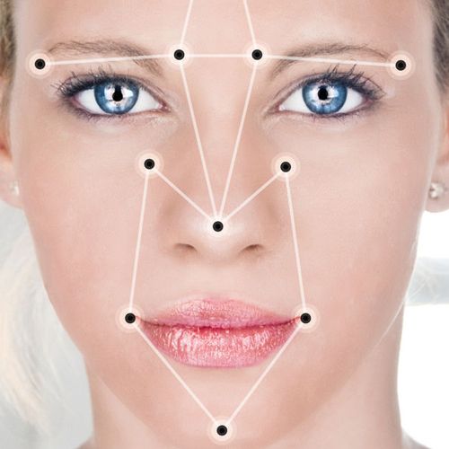 Tweede Kamer kritisch op het gebruik van biometrische identificatie